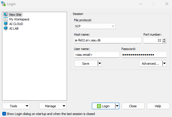 Screenshot of WinSCP setup