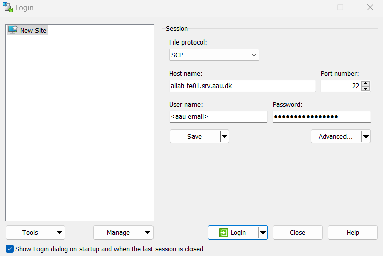 Screenshot of WinSCP setup