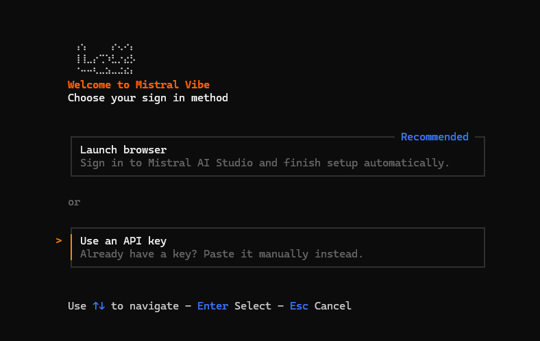 Vibe Code CLI: choose Use an API key